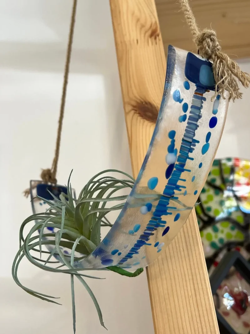 Air Plant Hanger – Clear & Blue – 13.5″ x 2″ - Fused Glass