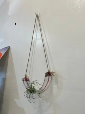 Air Plant Hanger - Clear & Pink - 14" x 2" - Image 2