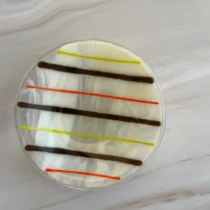 Small Striped Dish 5″ Round - Fused Glass