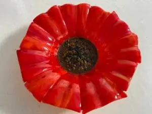 "Radiant Poppy" Bowl 12" Round