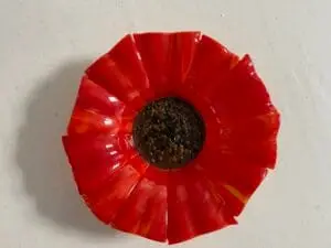 "Radiant Poppy" Bowl 12" Round - Image 2