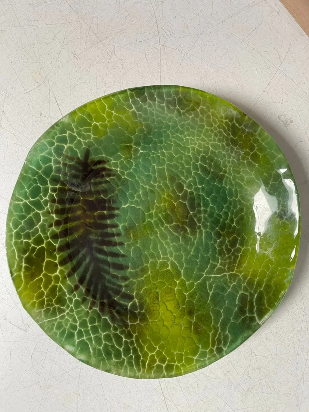 “Verdant Canopy” Round Dish 7-1/2″ - Fused Glass