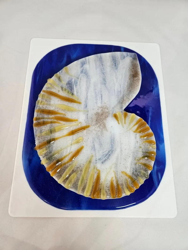 Nautilus Drift - Fused Glass
